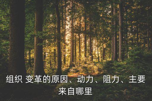 組織 變革的原因、動(dòng)力、阻力、主要來自哪里