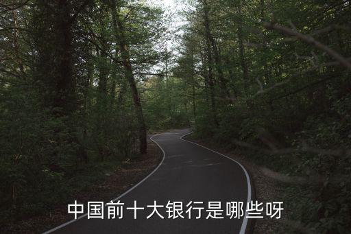 中國(guó)前十大銀行是哪些呀