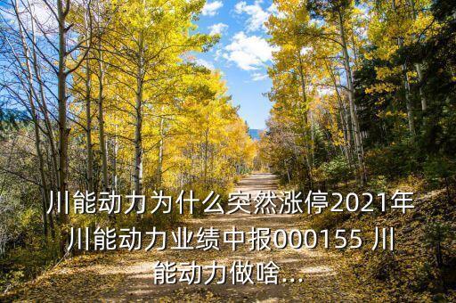  川能動(dòng)力為什么突然漲停2021年 川能動(dòng)力業(yè)績(jī)中報(bào)000155 川能動(dòng)力做啥...