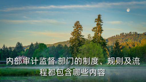 內(nèi)部審計(jì)監(jiān)督 部門的制度、規(guī)則及流程都包含哪些內(nèi)容