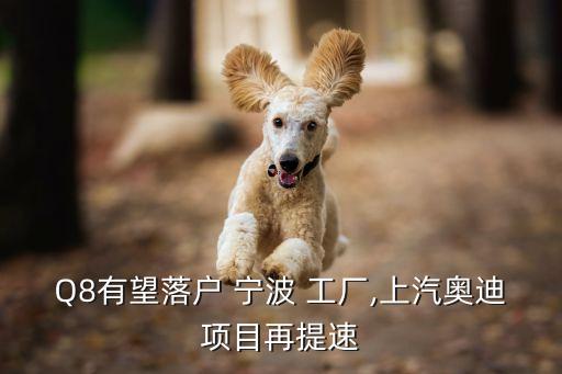 上海大眾寧波工廠(chǎng),上汽大眾寧波工廠(chǎng)簡(jiǎn)介