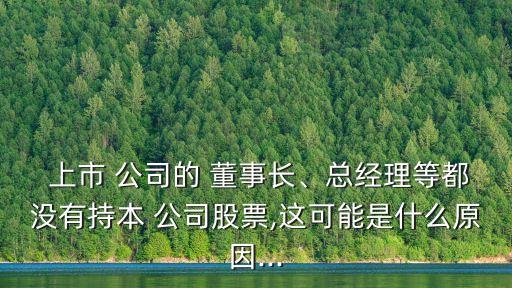  上市 公司的 董事長、總經(jīng)理等都沒有持本 公司股票,這可能是什么原因...