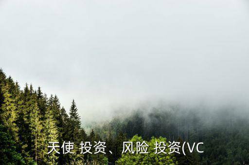  天使 投資、風險 投資(VC