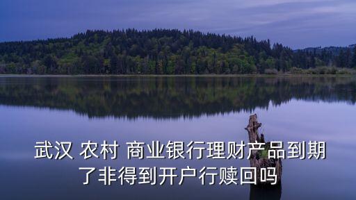  武漢 農(nóng)村 商業(yè)銀行理財(cái)產(chǎn)品到期了非得到開(kāi)戶行贖回嗎