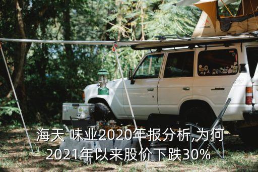 海天味業(yè)公司主營業(yè)務