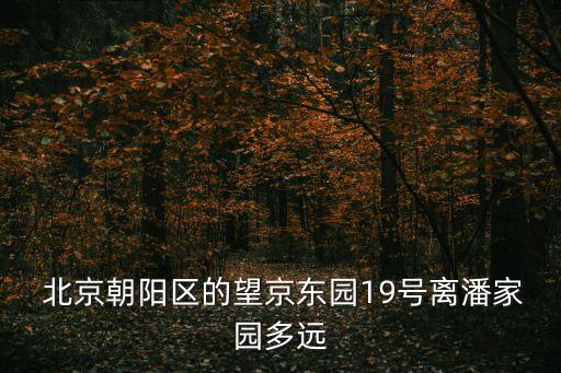  北京朝陽區(qū)的望京東園19號離潘家園多遠(yuǎn)