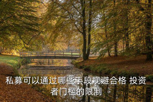 私募可以通過(guò)哪些手段規(guī)避合格 投資者門檻的限制