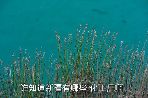 誰知道新疆有哪些 化工廠啊、