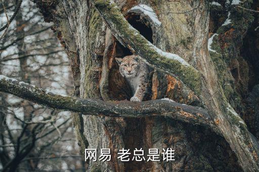 網(wǎng)易 老總是誰(shuí)