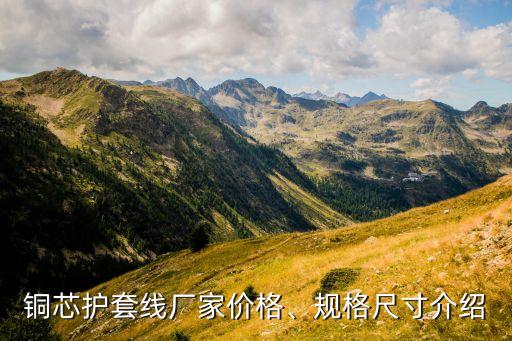 銅芯護(hù)套線廠家價格、規(guī)格尺寸介紹