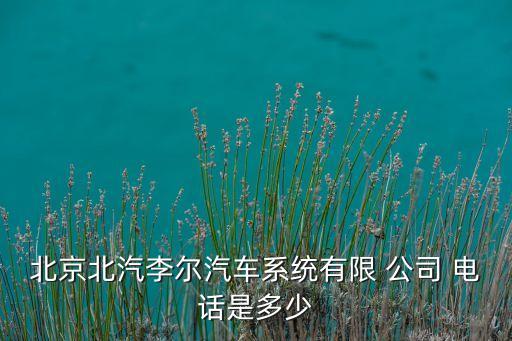 北京北汽李爾汽車(chē)系統(tǒng)有限 公司 電話(huà)是多少