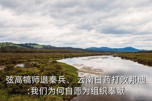 弦高犒師退秦兵、 云南白藥打敗邦迪:我們?yōu)楹巫栽笧榻M織奉獻