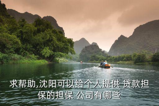 求幫助,沈陽可以給個(gè)人提供 貸款擔(dān)保的擔(dān)保 公司有哪些