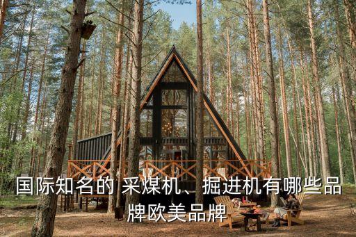國(guó)際知名的 采煤機(jī)、掘進(jìn)機(jī)有哪些品牌歐美品牌