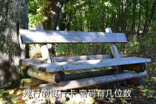 建行的銀行卡 密碼有幾位數