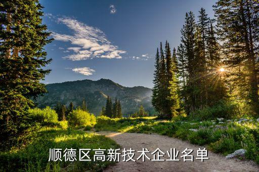 順德區(qū)高新技術企業(yè)名單