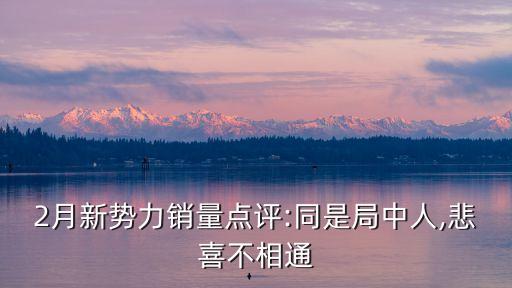 2月新勢(shì)力銷(xiāo)量點(diǎn)評(píng):同是局中人,悲喜不相通