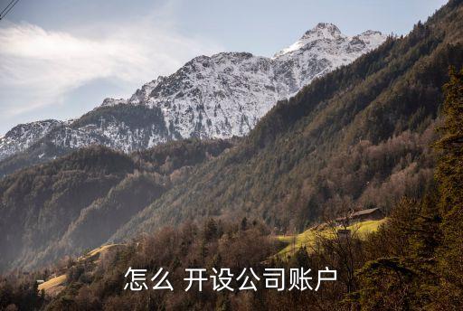 怎么 開設公司賬戶