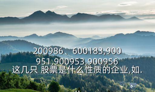 200986、600183,900951,900953,900956這幾只 股票是什么性質(zhì)的企業(yè),如...