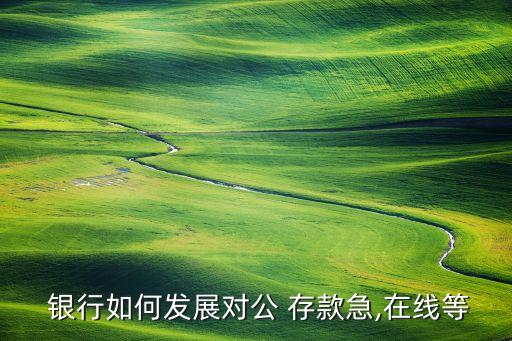  銀行如何發(fā)展對公 存款急,在線等