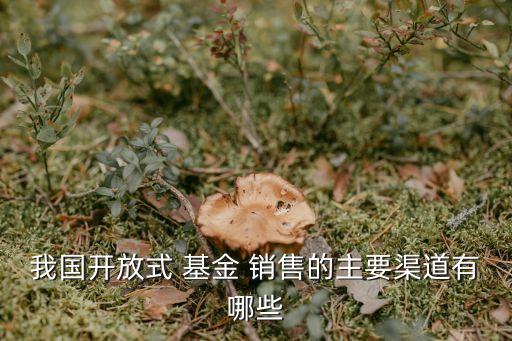 我國(guó)開(kāi)放式 基金 銷售的主要渠道有哪些