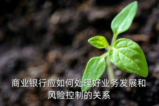 商業(yè)銀行風(fēng)險(xiǎn)管理與降準(zhǔn)背景下的應(yīng)對策略