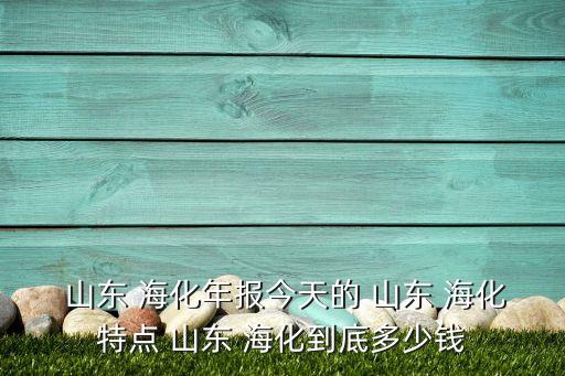 山東?；煞萦邢薰句逅貜S,海王溴素集團股份有限公司