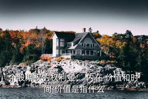 個(gè)股期權(quán)的權(quán)利金、 內(nèi)在 價(jià)值和時(shí)間 價(jià)值是指什么