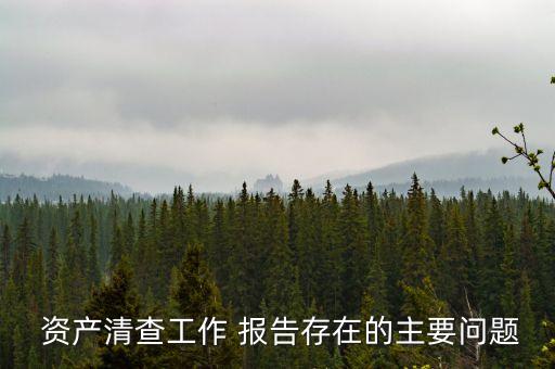  資產(chǎn)清查工作 報(bào)告存在的主要問題