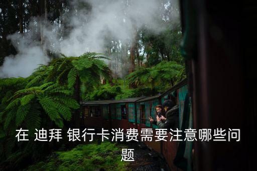 在 迪拜 銀行卡消費(fèi)需要注意哪些問(wèn)題