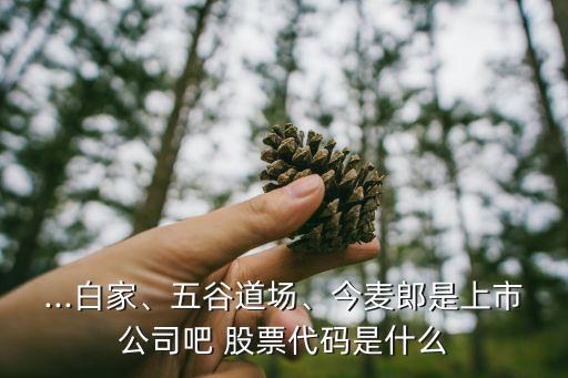 ...白家、五谷道場、今麥郎是上市公司吧 股票代碼是什么