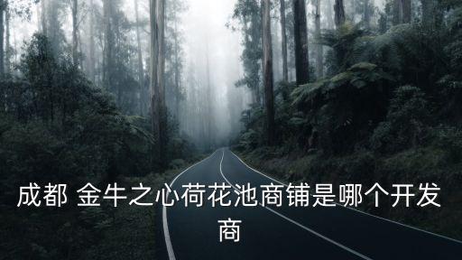 成都 金牛之心荷花池商鋪是哪個(gè)開發(fā)商