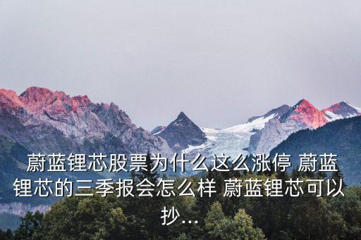 蔚藍(lán)投資,蔚藍(lán)汽車(chē)是誰(shuí)投資的