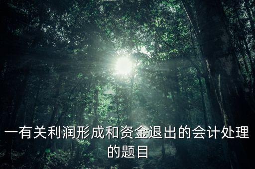 一有關(guān)利潤形成和資金退出的會(huì)計(jì)處理的題目