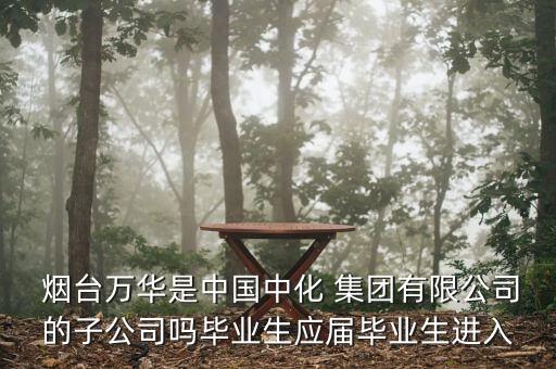煙臺(tái)萬華集團(tuán)信息化規(guī)劃報(bào)告