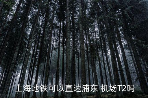 上海兩大機(jī)場快速通,上海哪個機(jī)場通高鐵