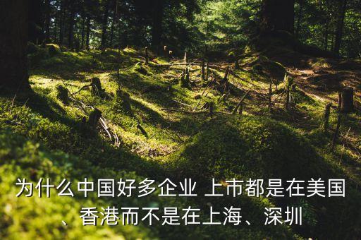 為什么中國好多企業(yè) 上市都是在美國、香港而不是在上海、深圳