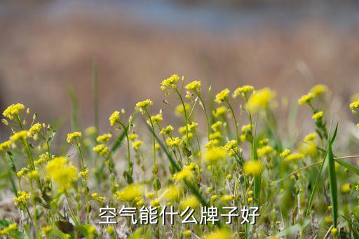 浙江開創(chuàng)環(huán)?？萍脊煞萦邢薰?/></a></span><span id=