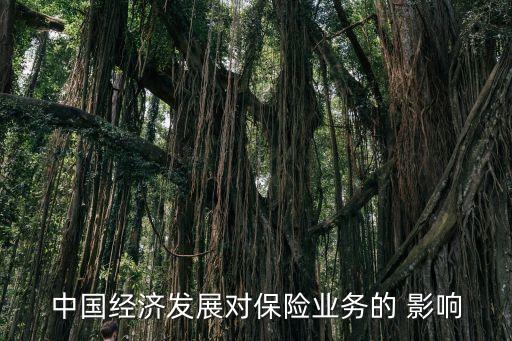 中國經(jīng)濟發(fā)展對保險業(yè)務的 影響