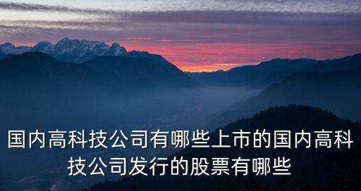 國內高科技公司有哪些上市的國內高科技公司發(fā)行的股票有哪些