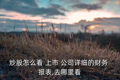 上市公司報表數(shù)據