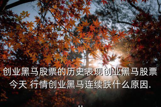 創(chuàng)業(yè)黑馬股票的歷史表現創(chuàng)業(yè)黑馬股票今天 行情創(chuàng)業(yè)黑馬連續(xù)跌什么原因...