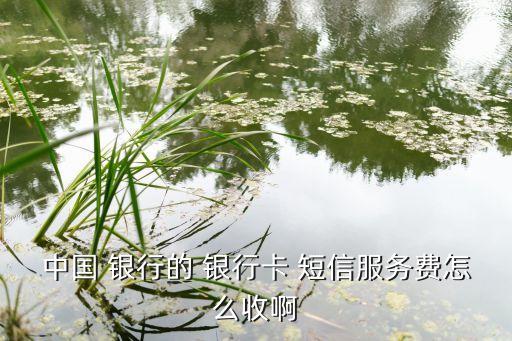 中國 銀行的 銀行卡 短信服務費怎么收啊