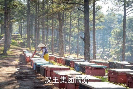  漢王集團(tuán)簡介