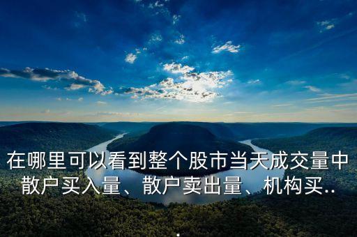 在哪里可以看到整個股市當(dāng)天成交量中散戶買入量、散戶賣出量、機構(gòu)買...