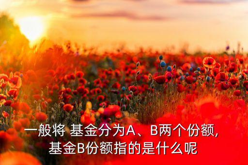一般將 基金分為A、B兩個(gè)份額, 基金B(yǎng)份額指的是什么呢