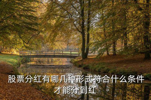 股票派發(fā)現金紅利對象,股票每股派發(fā)現金紅利什么意思