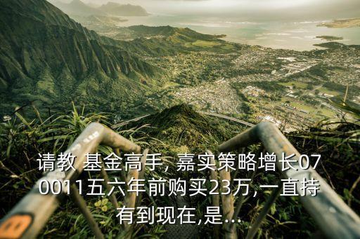 請(qǐng)教 基金高手, 嘉實(shí)策略增長(zhǎng)070011五六年前購買23萬,一直持有到現(xiàn)在,是...