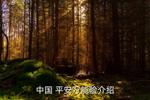 中國(guó) 平安萬能險(xiǎn)介紹