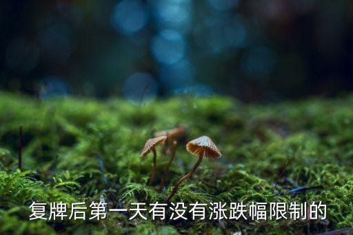  復牌后第一天有沒有漲跌幅限制的